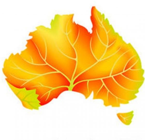 Top Dozen from Australia