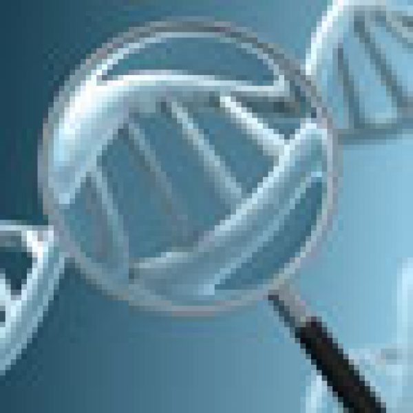 DNA identification developed for fine wine