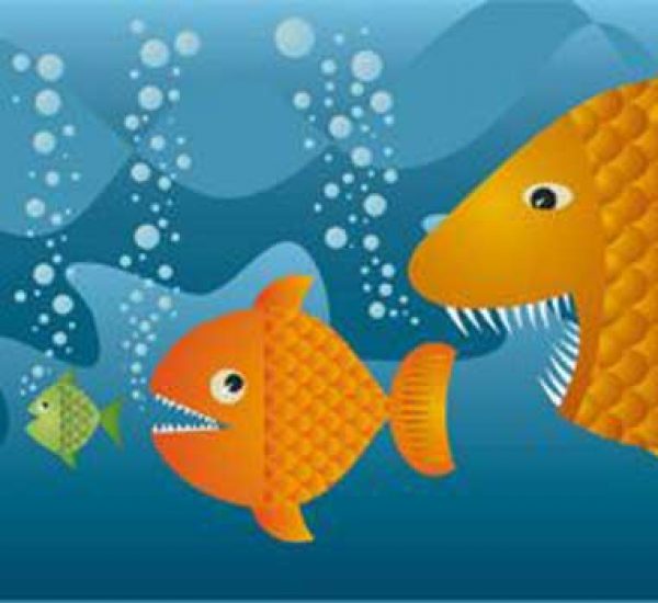 Raft of deals in the offing