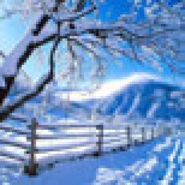 Currency watch: Winter woes were snow joke