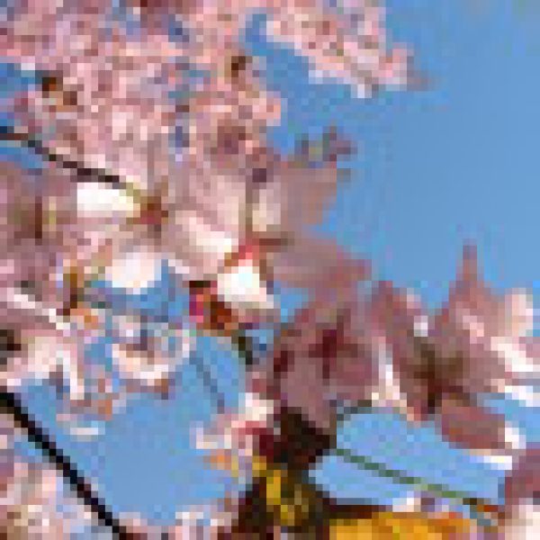 Spring’s blue skies hint at less troubled times