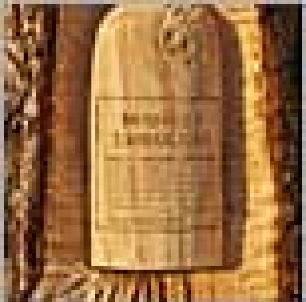 Monkey Shoulder Treehouse Bar opens at brewery