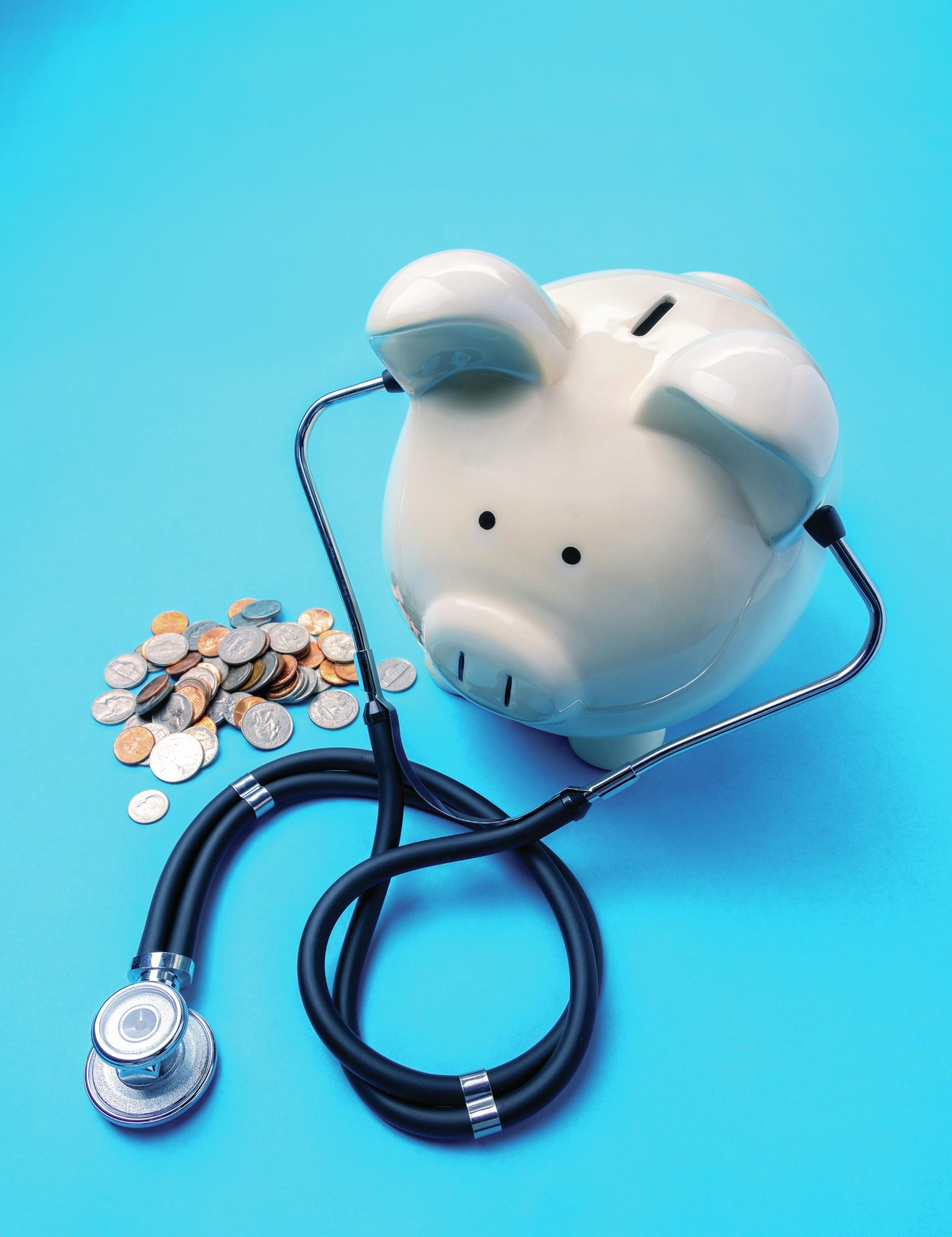 The forgotten cost of sustainability