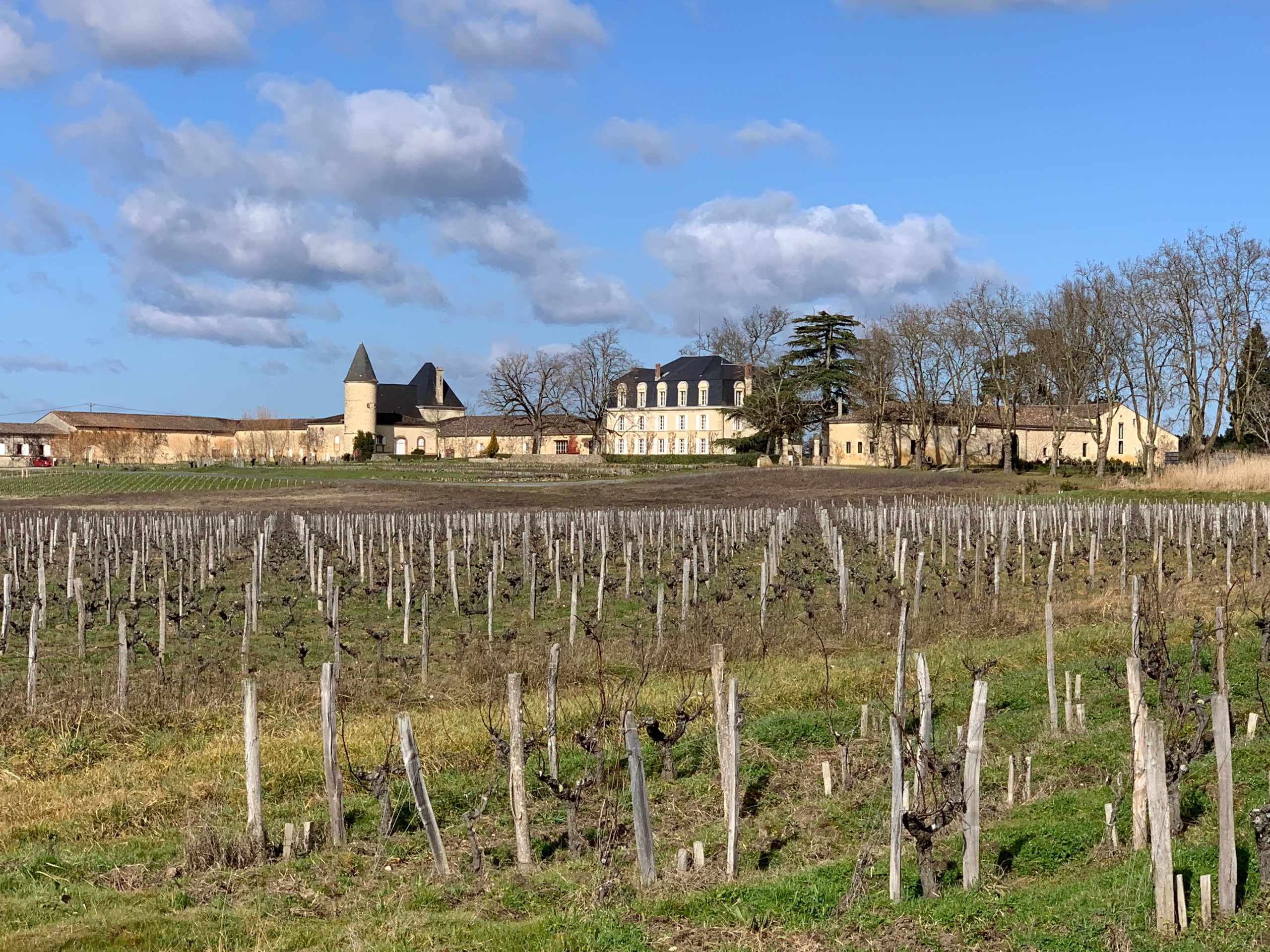 Bordeaux 2025 en primeur: Sauternes & Barsac ‘very rich, very powerful’